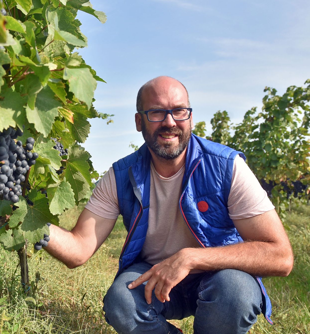 vinceller